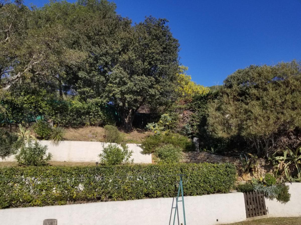 Villa La Louviere La Croix Valmer Golfe De Saint Tropez Eksteriør billede